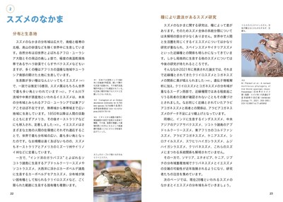スズメのなかま