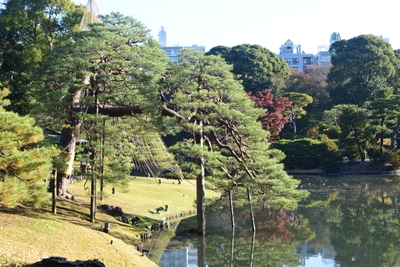 和歌の浦の景勝地のひとつ「吹上浜・吹上松」が再現された園内