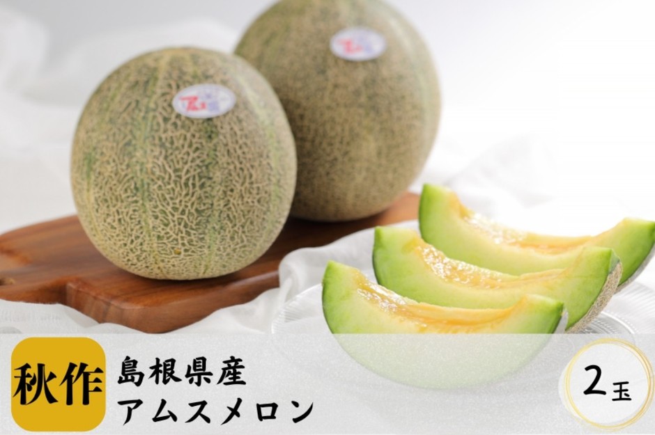 島根県産 アムスメロン