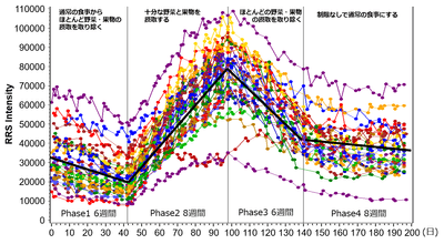 ベジメータ イメージ