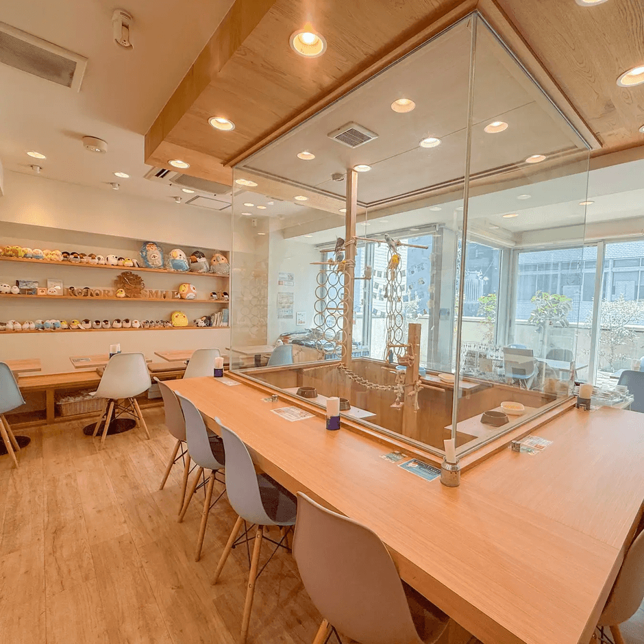 「ことりすまいるカフェ」店内写真
