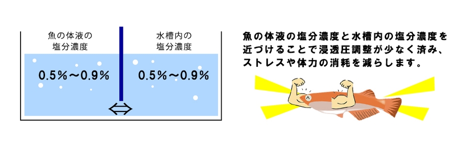 浸透圧調整２