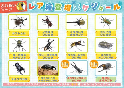 世界のレア昆虫が大集結！