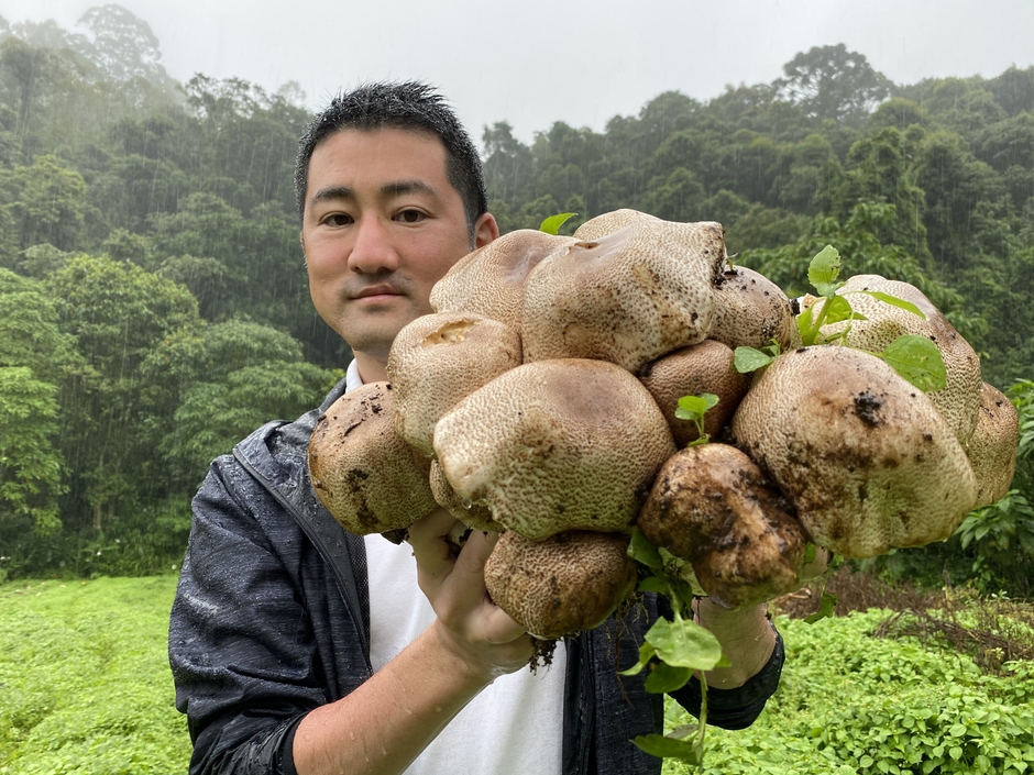 露地栽培アガリクスと東栄新薬社長:元井章智
