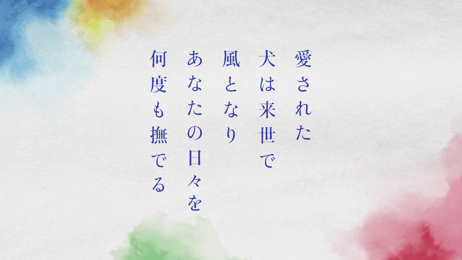 13..動画キャプチャ