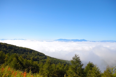 【標高2,000ｍの高原】高峰高原