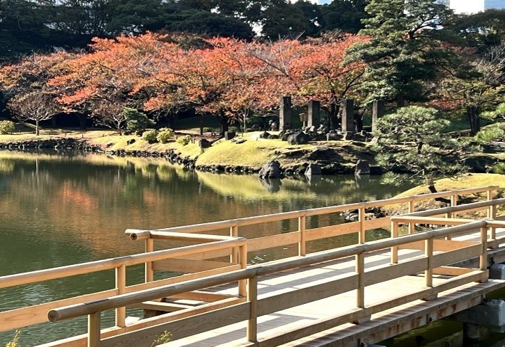 紅葉が見ごろを迎えた園内(過去の様子)