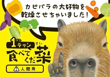 カピバラの大好物の野菜をそのまま乾燥　 赤ちゃん誕生で話題の竹島水族館に“人も食べられる”新土産が登場