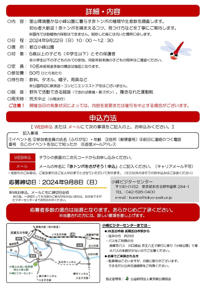 チラシ裏