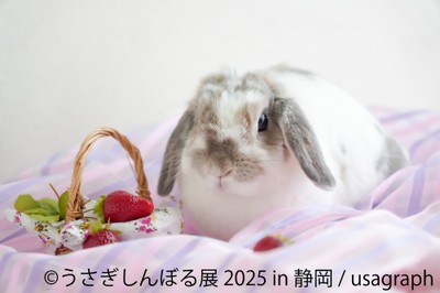 うさぎしんぼる展 展示作品1