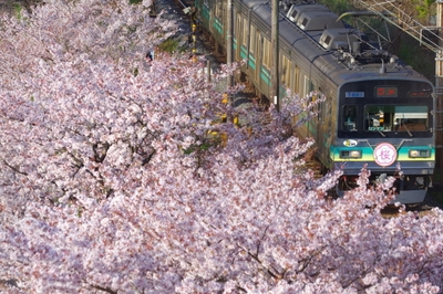 第22回秩父鉄道写真コンテスト 車両部門 推薦(秩父鉄道社長賞)作品 ※行田市内で撮影された作品