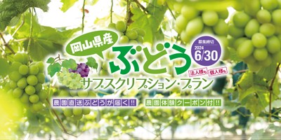 ぶどうサブスクリプション・プラン(2)