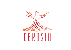 CERASTA2026実行委員会