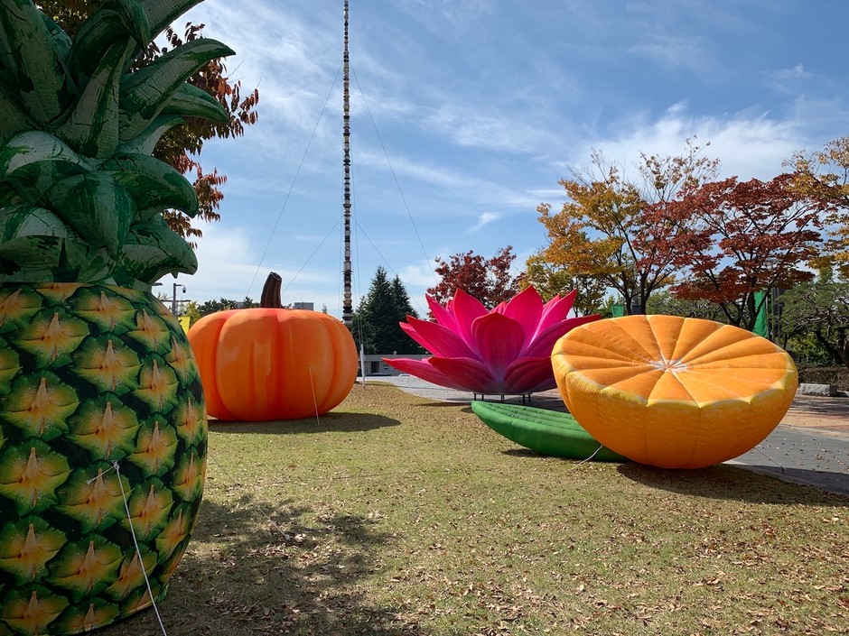 《Fruits tour》2020