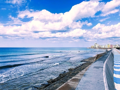 宮城海岸の景色