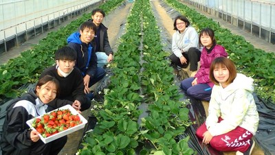 プロの指導のもと、イチゴ栽培のノウハウを修得する学生たち