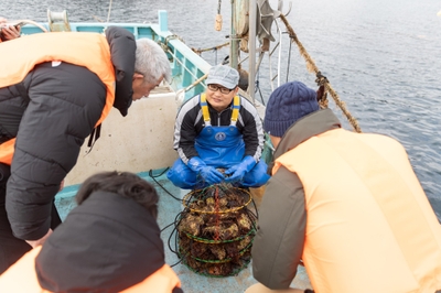 石巻雄勝湾は、山からの栄養が、大ぶりで濃厚な牡蠣を育てる
