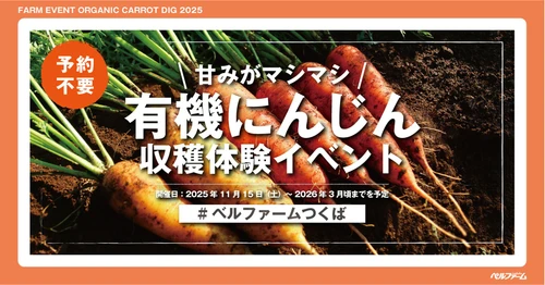 【ベルファームつくば】ベルファームの有機農場で甘みがマシマシのにんじんを収穫しよう！！ 有機にんじん収穫体験イベント2025｜期間：2025年11月15日（土）～2026年3月頃までを予定