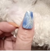 植物、自然由来のUV、LEDの光で固まるネイルチップ用接着剤を用いて装着したデザインネイルのイメージ図