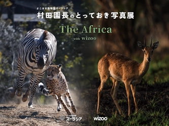 よこはま動物園ズーラシアと動物園水族館探求メディアwizooが コラボレーションし、共同写真展を開催！
