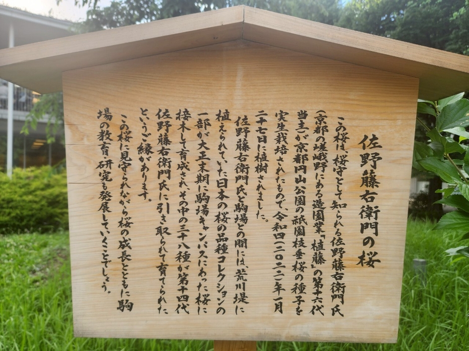 みょん制作実績(2)