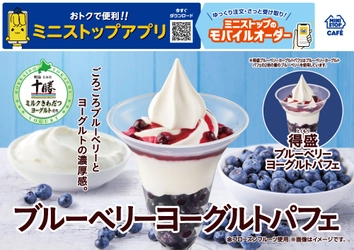 ごろごろブルーベリーとヨーグルトの濃厚感。　
「ブルーベリーヨーグルトパフェ」
