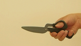 att_364655_1.gif
