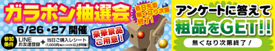ガラポン抽選会
