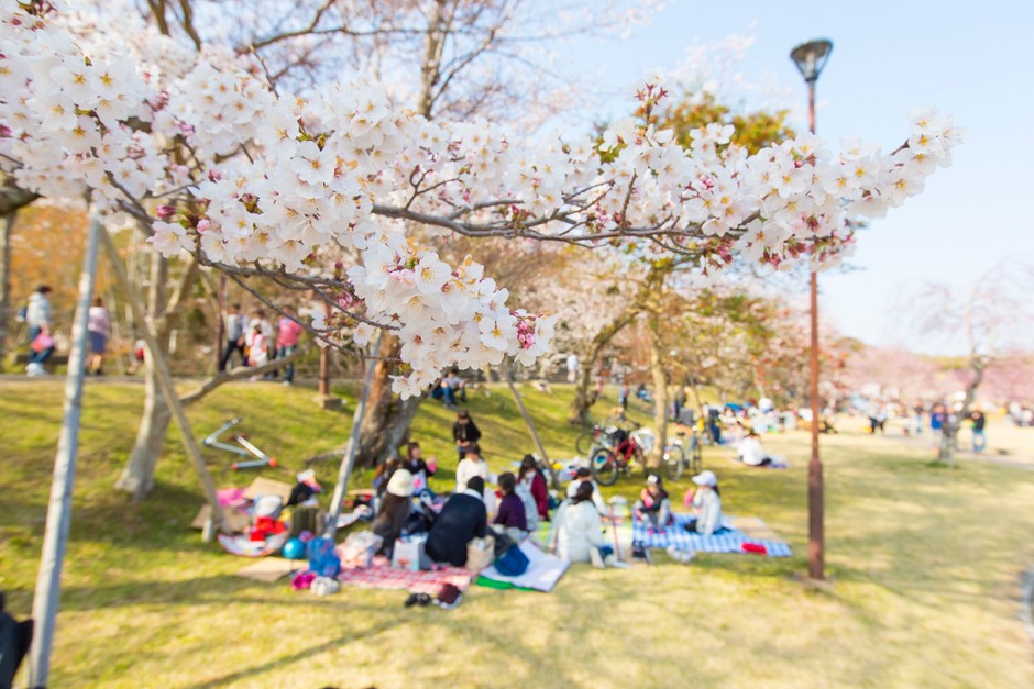 水源公園