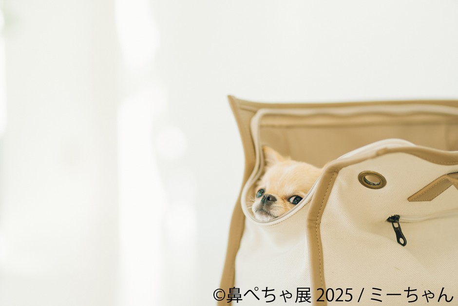 展示作品8