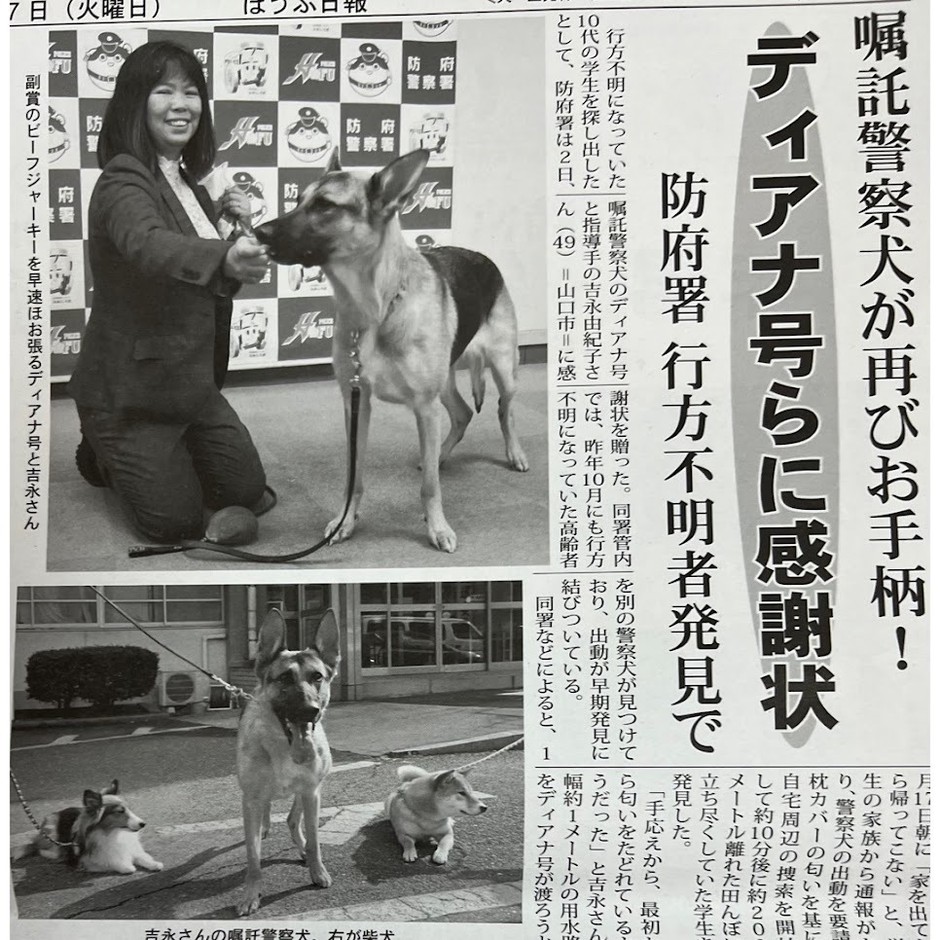 お手柄Diana