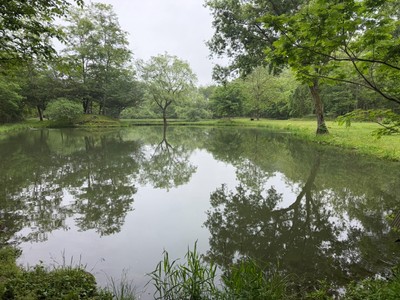 釣り堀の様子2