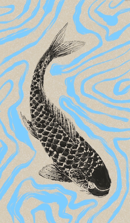 魚拓風イラスト(鯉)