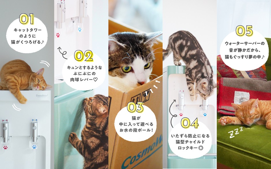 にゃんモデルのオススメポイント!