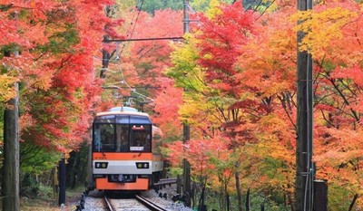 「もみじのトンネル」を走行する展望列車「きらら」
