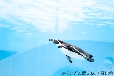 “夏の癒し空間”が今年もやってきた♪ペンギン×金魚コラボ作品展 「ペンぎょ展 2025」7月4日～開催！限定特典＆グッズも登場