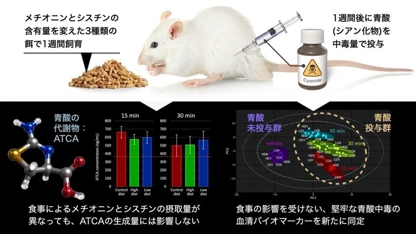 本研究の概要図(サイエンスデザイナー 髙橋一誠氏 作成)