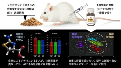 本研究の概要図(サイエンスデザイナー 髙橋一誠氏 作成)