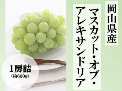 マスカット・オブ・アレキサンドリア１房詰（７月上旬頃～７月下旬発送）【お中元】
