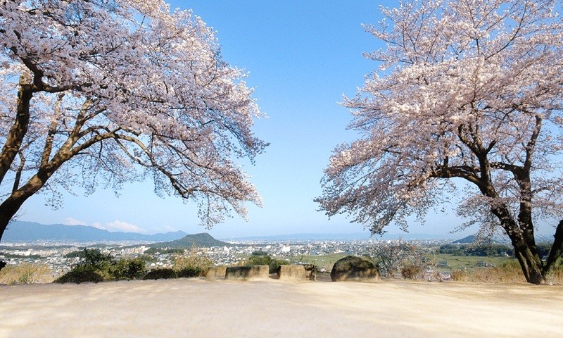 甘樫丘