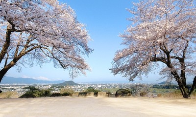 甘樫丘