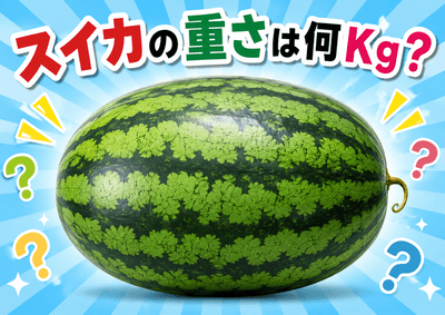 巨大スイカ重さ当てクイズ　※画像はイメージです