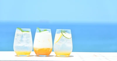 淡路島西海岸 シーフードダイナー＆カフェ「ミエレ ザ ダイナー」 淡路島の幻の柑橘『淡路島なるとオレンジ』ドリンク類8月31日まで提供延長！ ～1杯50%Offで楽しめるキャンペーン開始～
