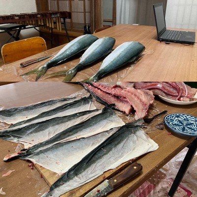 「魚の皮から革細工」づくりの様子