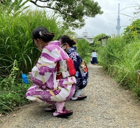 虫ききの会　過去開催の様子