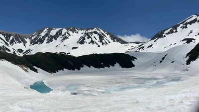 立山黒部アルペンルート、北アルプスで最も美しい火山湖 「みくりが池」を楽しめるイベントを6月1日から開催