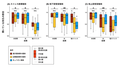 図３．実験条件毎の開いている気孔の割合。アルファベット大文字の違いは、ストレス処理間の統計的な差異を、小文字の違いはストレス処理内の遺伝的条件間での統計的な差異を示す（P＜0.05）。N.S.は統計的な差異がないことを示す。