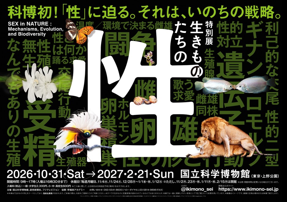 メインビジュアル