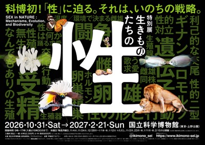 メインビジュアル