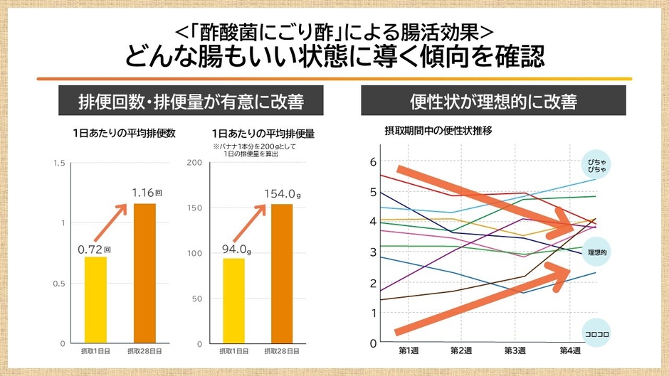 酢酸菌はどんな腸もいい状態に導く